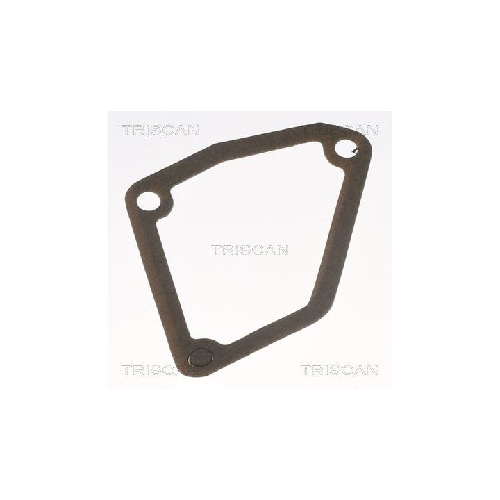 Termostatas, aušinimo skystis TRISCAN 8620 10882