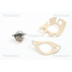 Termostatas, aušinimo skystis TRISCAN 8620 1091