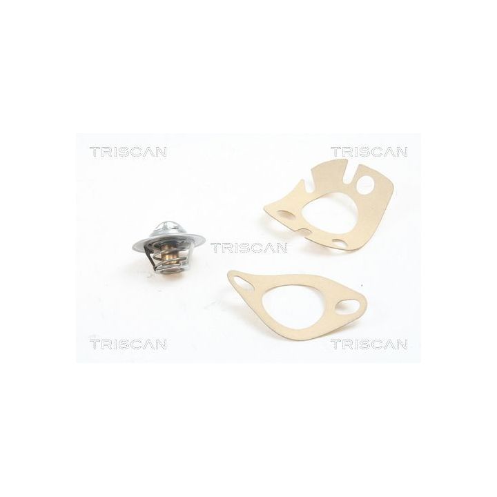 Termostatas, aušinimo skystis TRISCAN 8620 1091