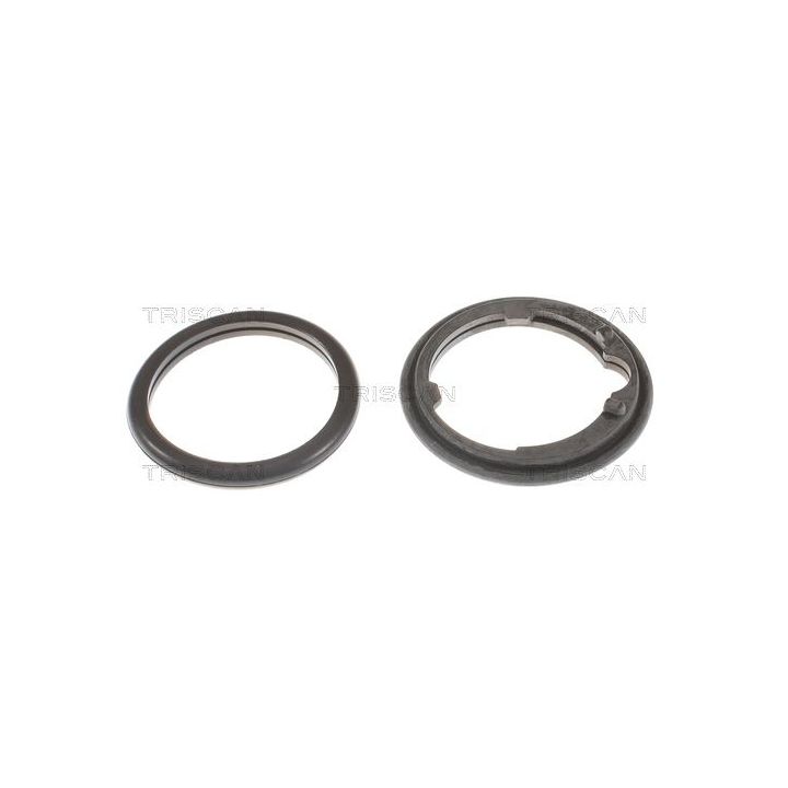 Termostatas, aušinimo skystis TRISCAN 8620 11582