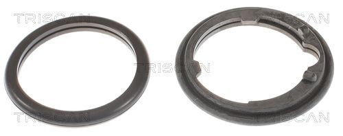 Termostatas, aušinimo skystis TRISCAN 8620 11582