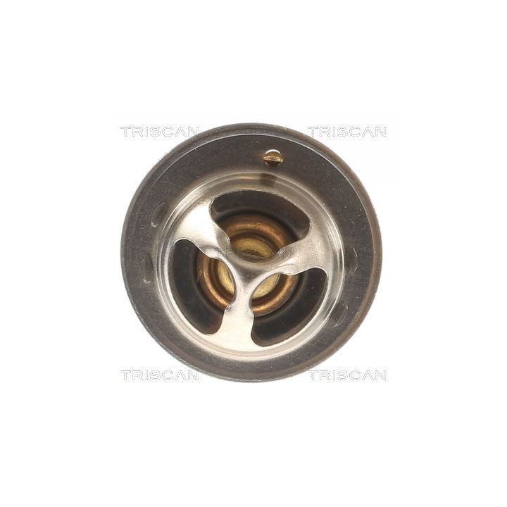 Termostatas, aušinimo skystis TRISCAN 8620 11688