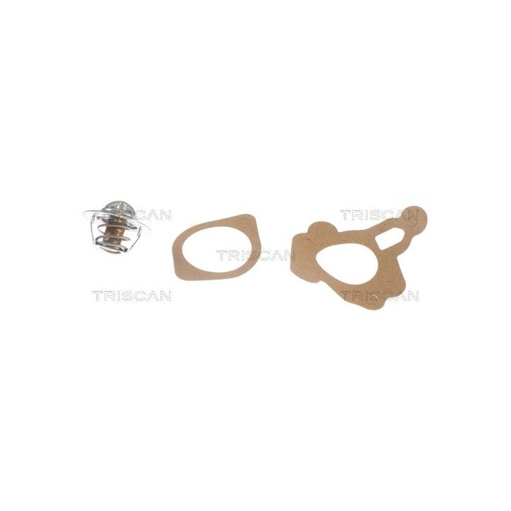 Termostatas, aušinimo skystis TRISCAN 8620 1182