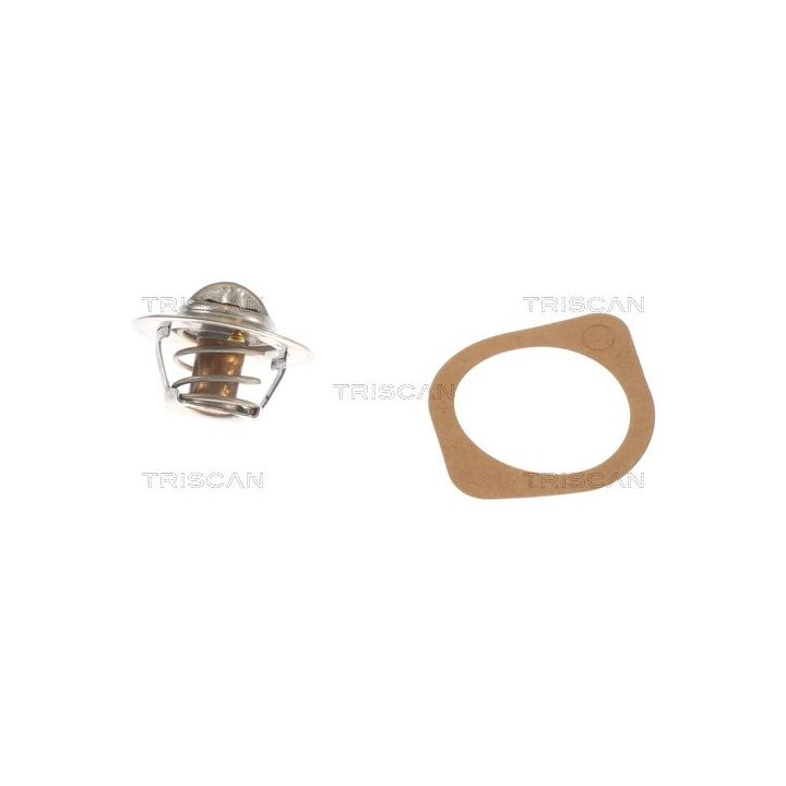 Termostatas, aušinimo skystis TRISCAN 8620 1182