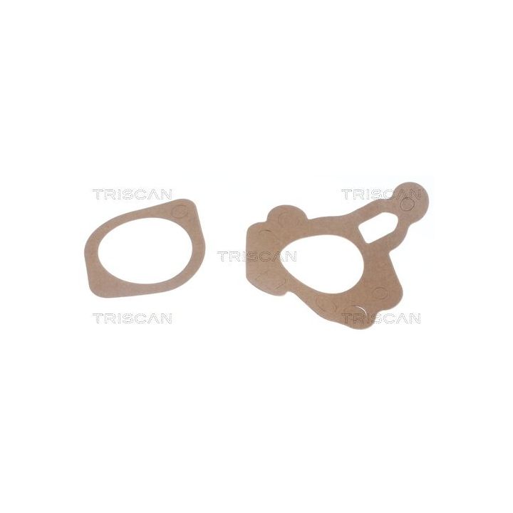 Termostatas, aušinimo skystis TRISCAN 8620 1182