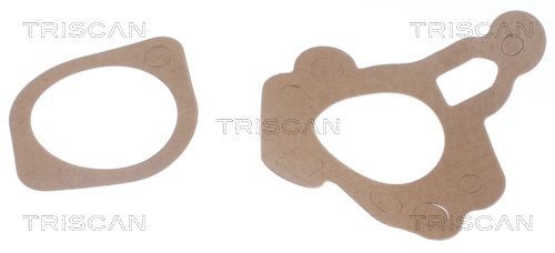 Termostatas, aušinimo skystis TRISCAN 8620 1182