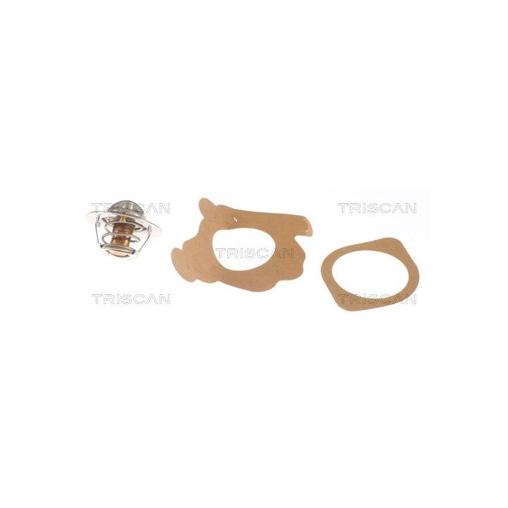 Termostatas, aušinimo skystis TRISCAN 8620 1188