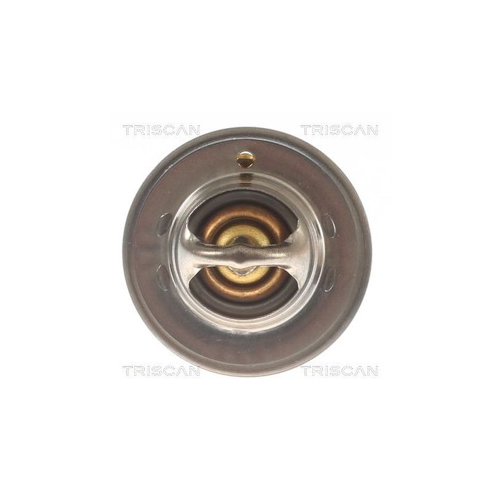 Termostatas, aušinimo skystis TRISCAN 8620 1188