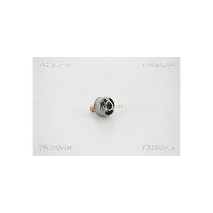Termostatas, aušinimo skystis TRISCAN 8620 13082