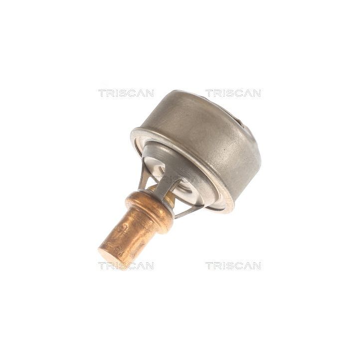 Termostatas, aušinimo skystis TRISCAN 8620 13091