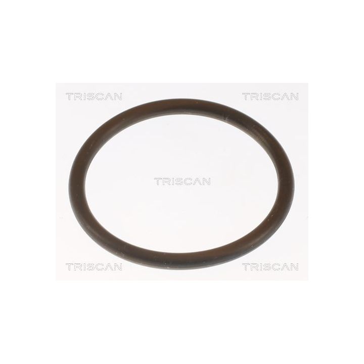 Termostatas, aušinimo skystis TRISCAN 8620 13188