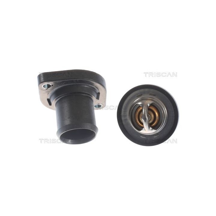 Termostatas, aušinimo skystis TRISCAN 8620 14689