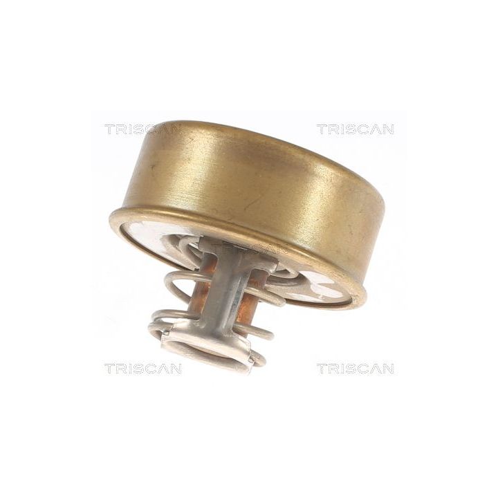 Termostatas, aušinimo skystis TRISCAN 8620 1482