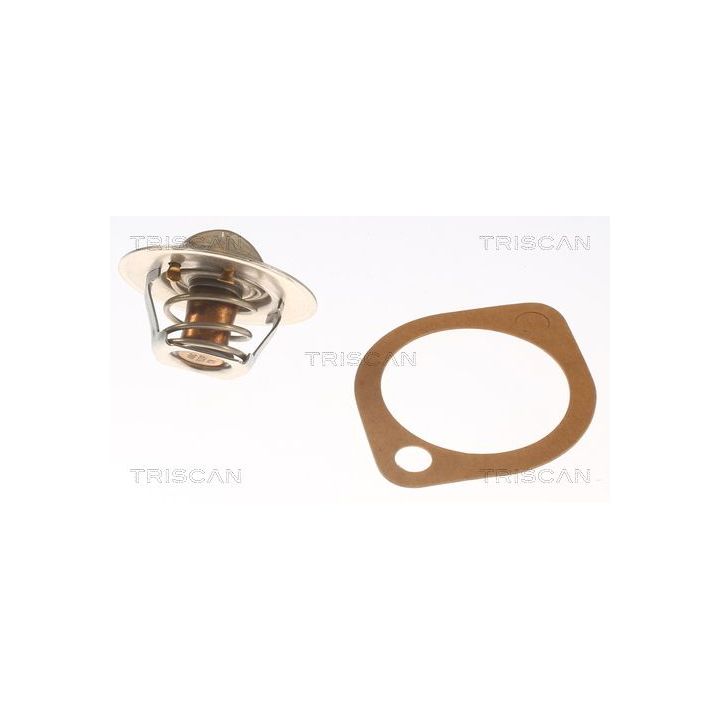 Termostatas, aušinimo skystis TRISCAN 8620 5791