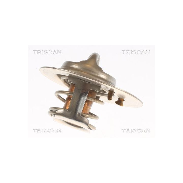 Termostatas, aušinimo skystis TRISCAN 8620 5791