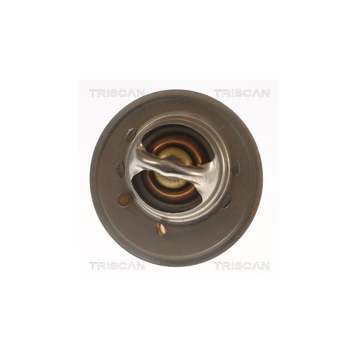 Termostatas, aušinimo skystis TRISCAN 8620 5791