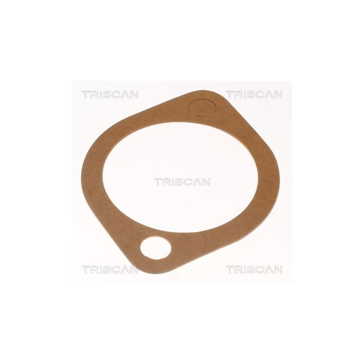 Termostatas, aušinimo skystis TRISCAN 8620 5791