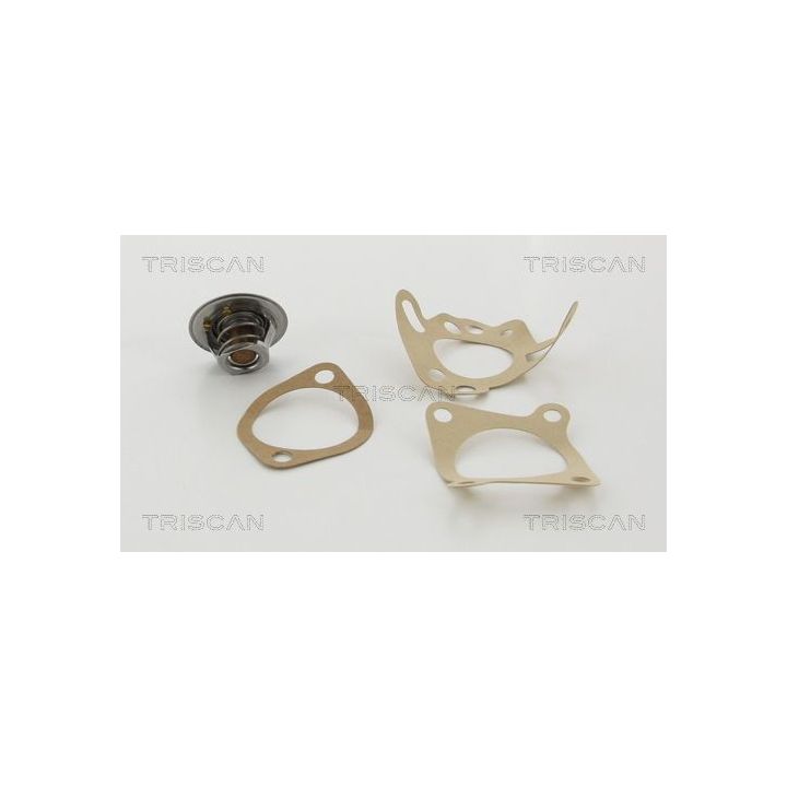 Termostatas, aušinimo skystis TRISCAN 8620 7382