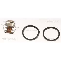 Termostatas, aušinimo skystis TRISCAN 8620 7691