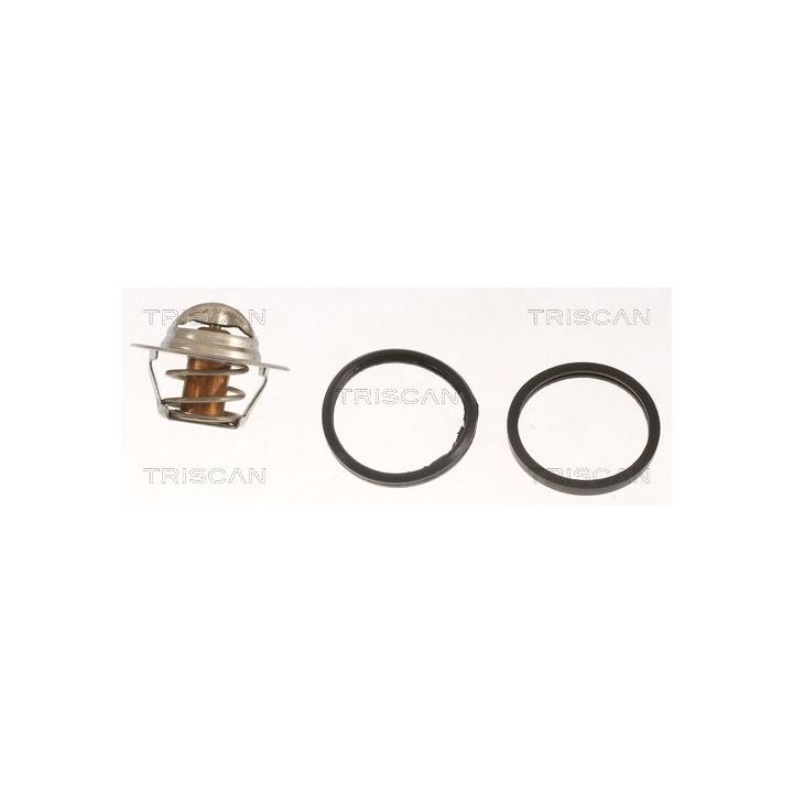 Termostatas, aušinimo skystis TRISCAN 8620 7691