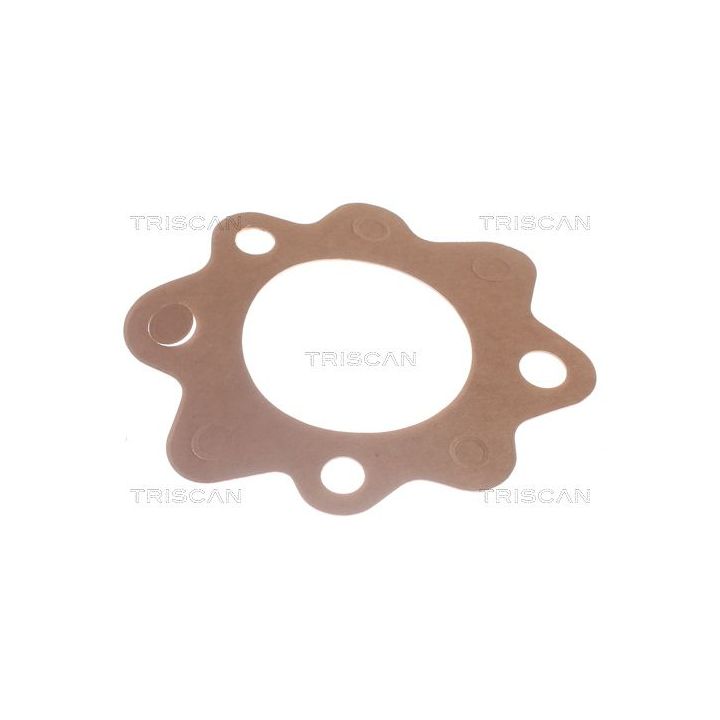 Termostatas, aušinimo skystis TRISCAN 8620 7882