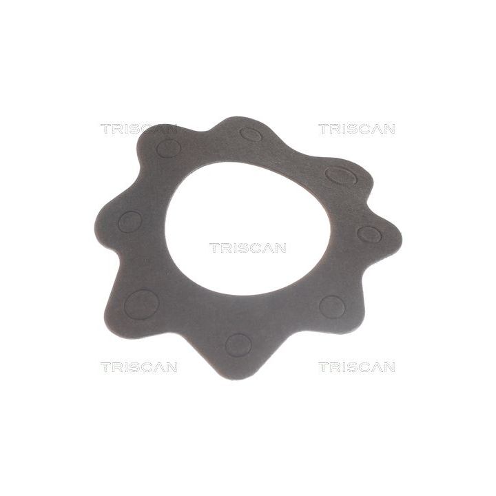 Termostatas, aušinimo skystis TRISCAN 8620 7888