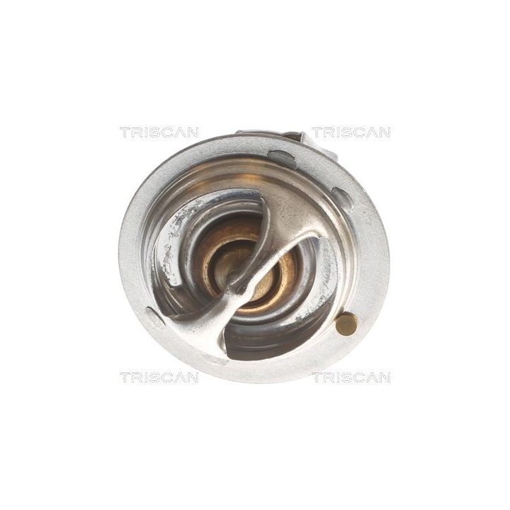 Termostatas, aušinimo skystis TRISCAN 8620 7977