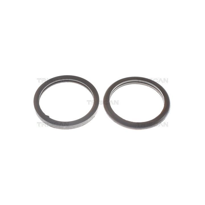 Termostatas, aušinimo skystis TRISCAN 8620 7977