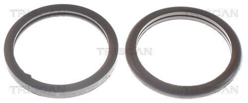 Termostatas, aušinimo skystis TRISCAN 8620 7977