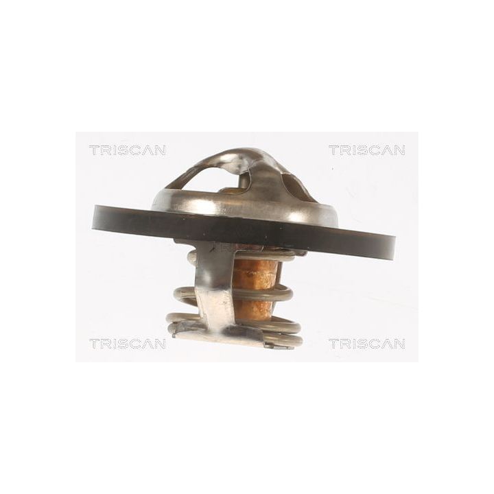Termostatas, aušinimo skystis TRISCAN 8620 7995
