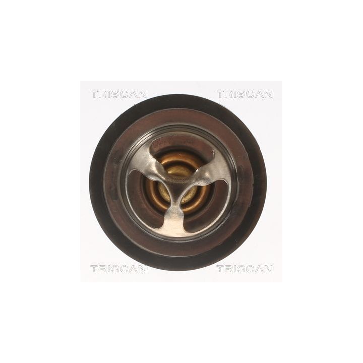 Termostatas, aušinimo skystis TRISCAN 8620 7995