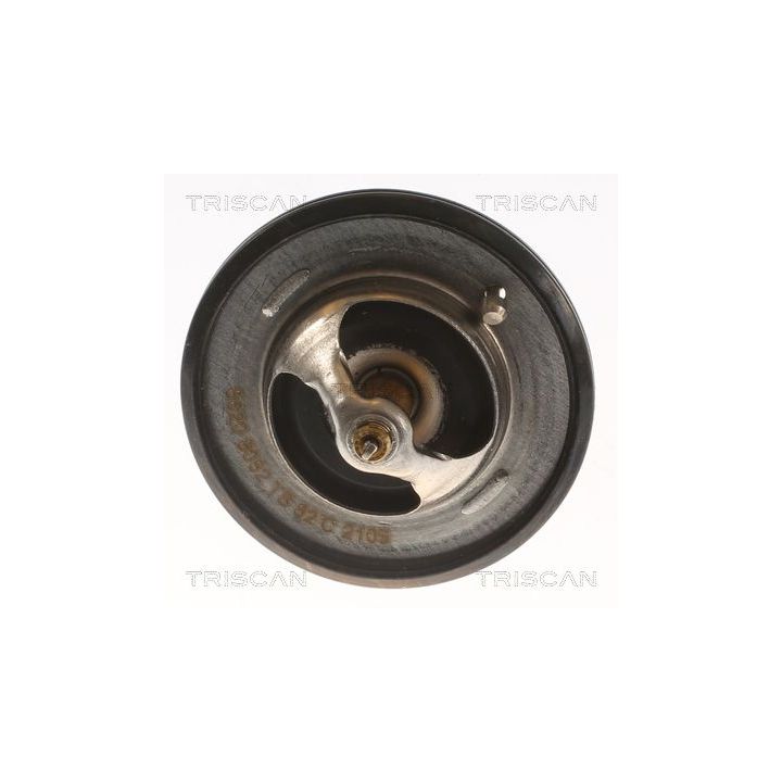 Termostatas, aušinimo skystis TRISCAN 8620 8082