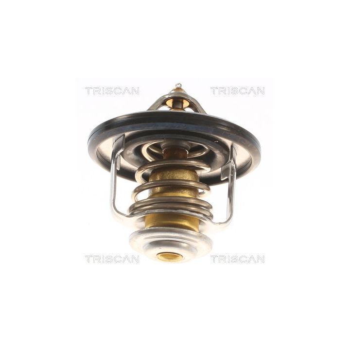 Termostatas, aušinimo skystis TRISCAN 8620 8088