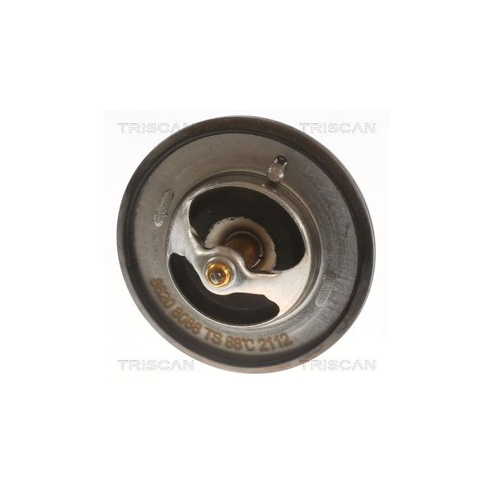 Termostatas, aušinimo skystis TRISCAN 8620 8088