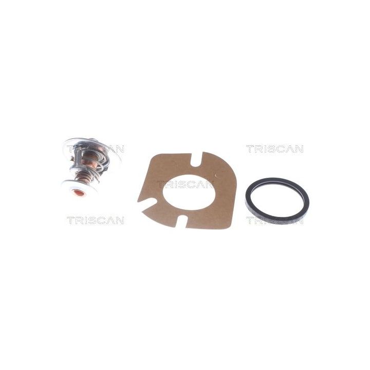 Termostatas, aušinimo skystis TRISCAN 8620 8288