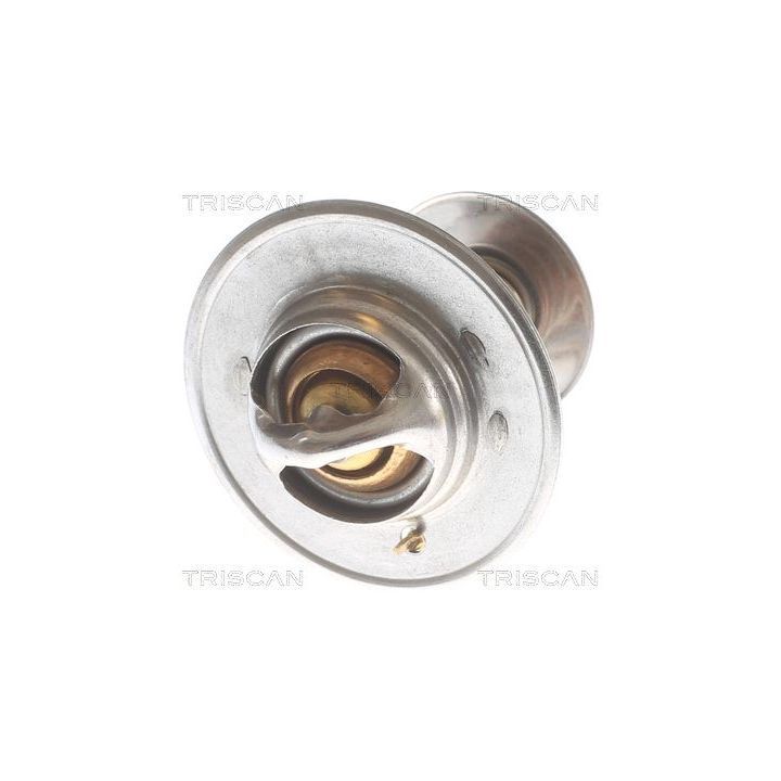 Termostatas, aušinimo skystis TRISCAN 8620 8288