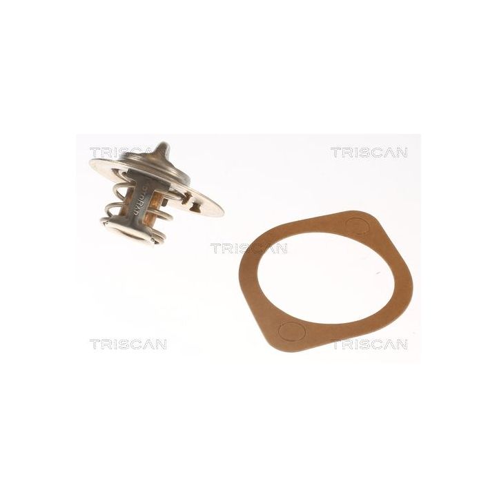 Termostatas, aušinimo skystis TRISCAN 8620 8382