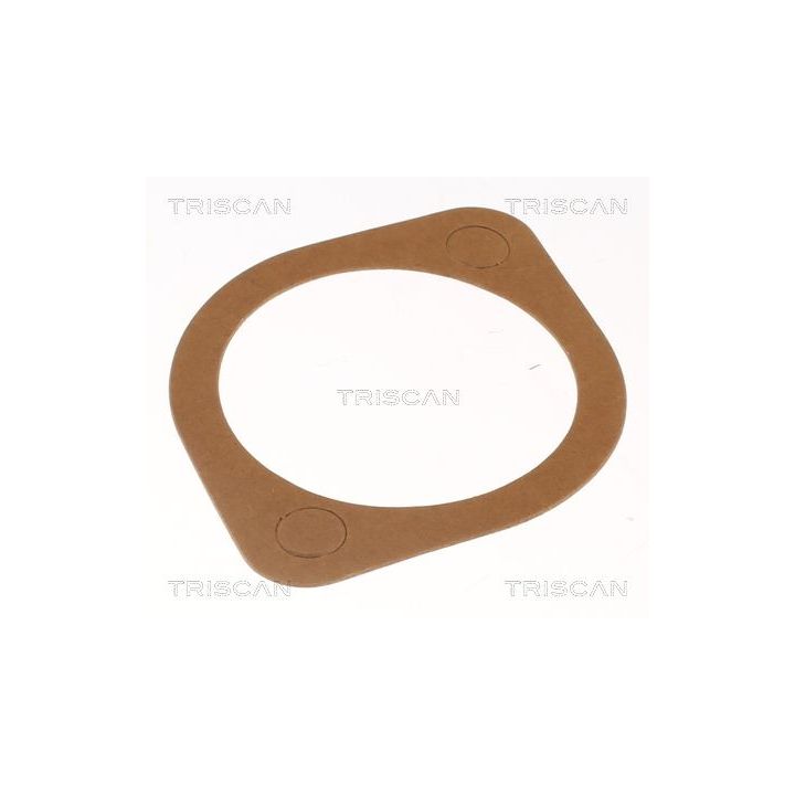 Termostatas, aušinimo skystis TRISCAN 8620 8382