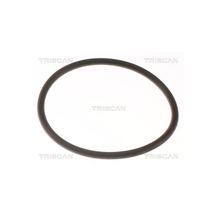 Termostatas, aušinimo skystis TRISCAN 8620 8388