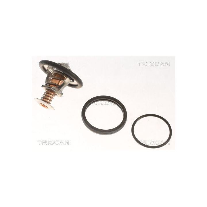 Termostatas, aušinimo skystis TRISCAN 8620 8488