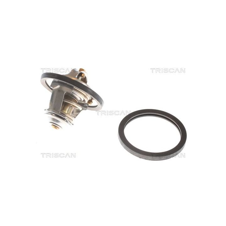 Termostatas, aušinimo skystis TRISCAN 8620 9982