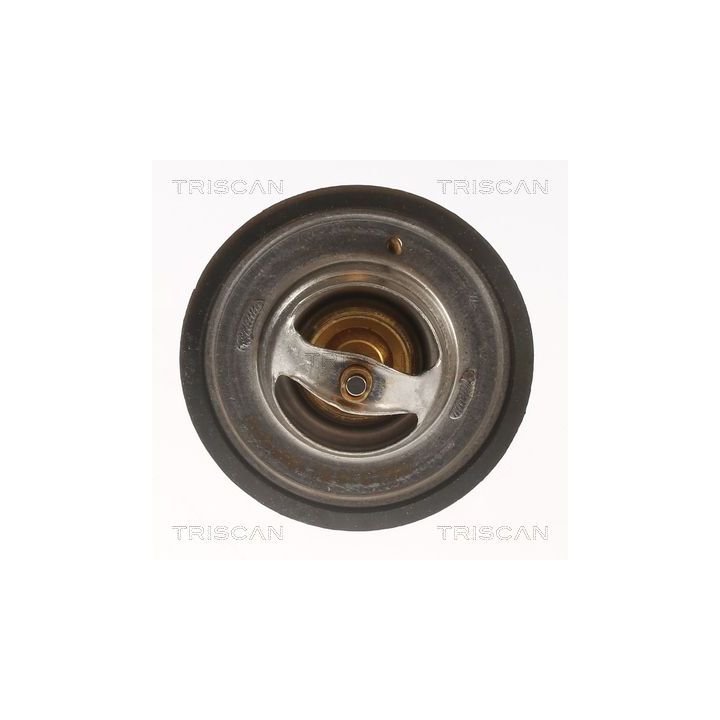 Termostatas, aušinimo skystis TRISCAN 8620 9991