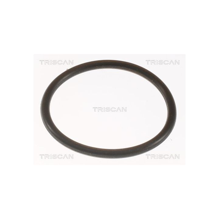 Termostatas, aušinimo skystis TRISCAN 8620 9991