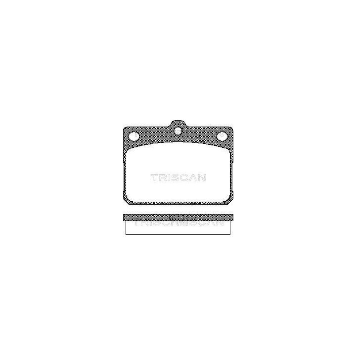 Stabdžių trinkelių rinkinys, diskinis stabdys TRISCAN 8110 10009