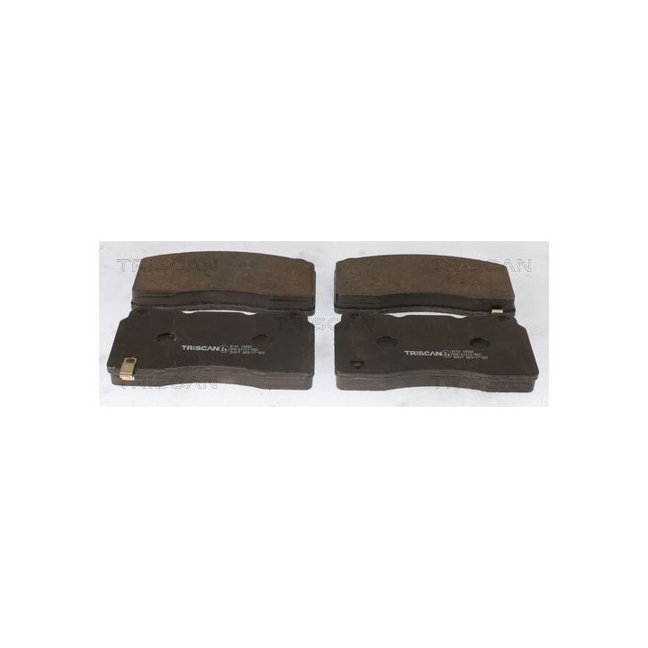 Stabdžių trinkelių rinkinys, diskinis stabdys TRISCAN 8110 10582