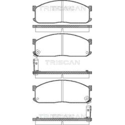 Stabdžių trinkelių rinkinys, diskinis stabdys TRISCAN 8110 10873