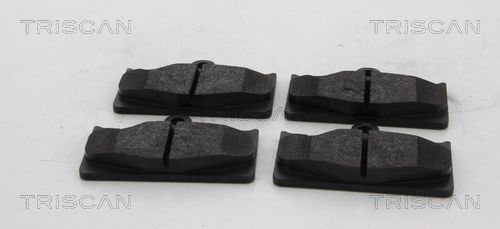 Stabdžių trinkelių rinkinys, diskinis stabdys TRISCAN 8110 13104