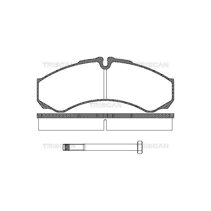 Stabdžių trinkelių rinkinys, diskinis stabdys TRISCAN 8110 15013