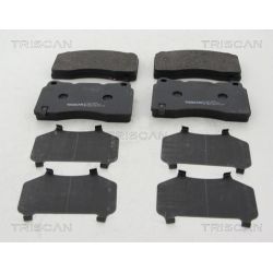 Stabdžių trinkelių rinkinys, diskinis stabdys TRISCAN 8110 24048