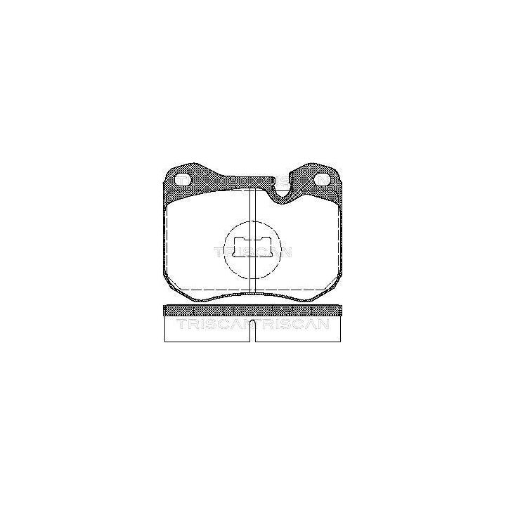 Stabdžių trinkelių rinkinys, diskinis stabdys TRISCAN 8110 29157